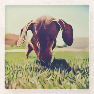 Dachshund Dog Playing With A Tennis Ball Birthday Glass Coaster