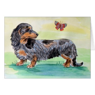 Dachshund Dog With Butterfly
