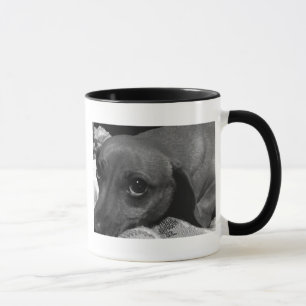 Dachshund Dog with Sad Eyes in Black and White Mug