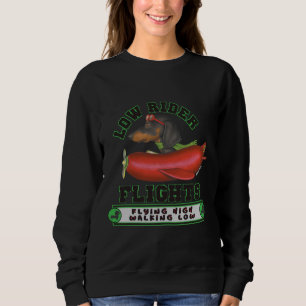 Dachshund Dogs Black Dachshund In Wiener Plane Sweatshirt