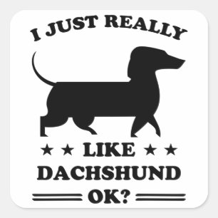Dachshund Dogs Funny Cute Dog Holder Puppy Gift Square Sticker
