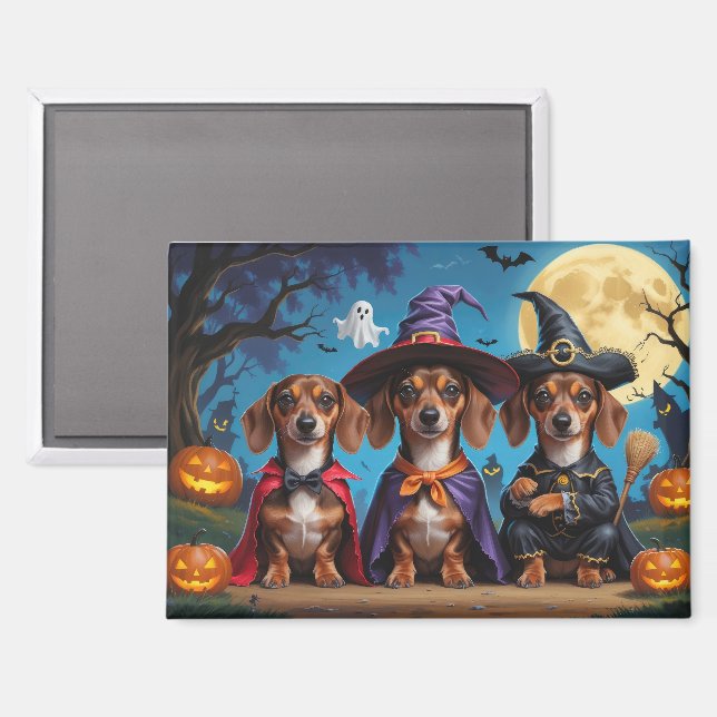 Dachshund Dogs Pumpkin Halloween Funny Magnet (Front/Back)