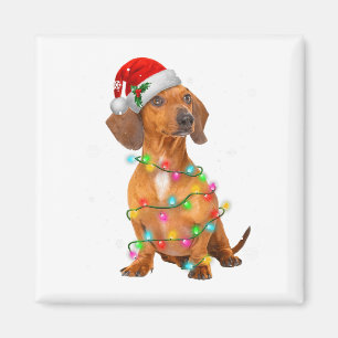 Dachshund Dogs Tree Christmas Sweater Xmas Gifts F Magnet