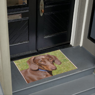 Dachshund doormat