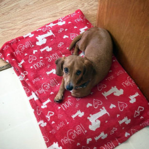 Dachshund Doxie I Love You Hearts Blanket
