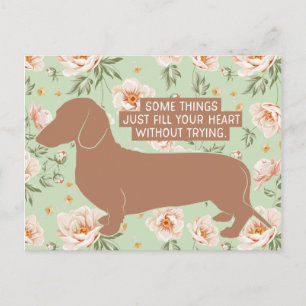 Dachshund Doxie Teckel Lover Illustration Quote Postcard