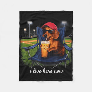Dachshund drink iced coffee baseball field live fleece blanket