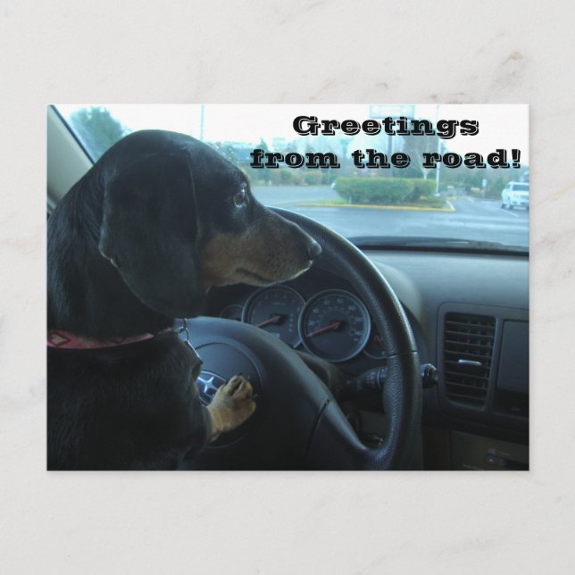 Dachshund-Driven Postcard (Front)