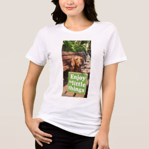 Dachshund Enjoy the little things Tri-Blend Shirt