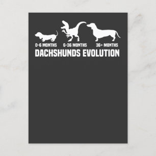 Dachshund Evolutions Invitation Postcard