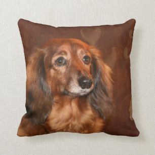 Dachshund face cushion