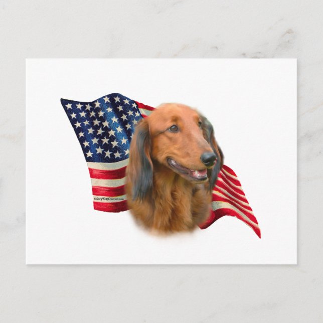 Dachshund Flag Postcard (Front)