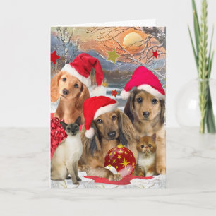 Dachshund & Friends Christmas Gathering Holiday Card