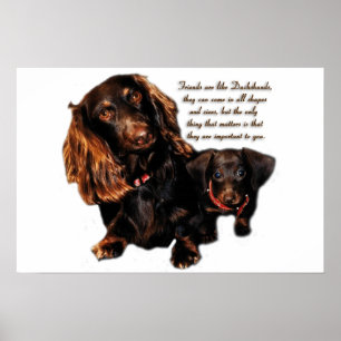 Dachshund Friendship Poster