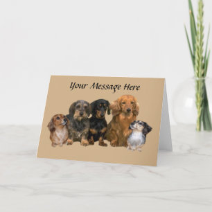 Dachshund Gang Greeting Card