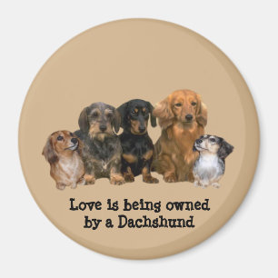 Dachshund Gang Magnet