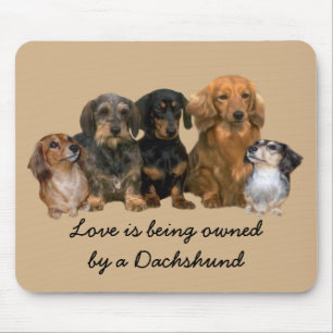 Dachshund Gang Mousepad
