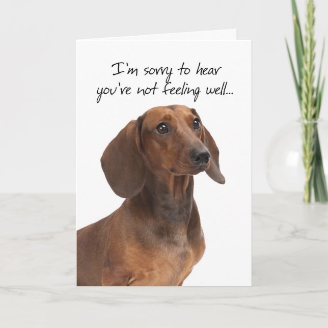 Dachshund Get Well Card (Front)