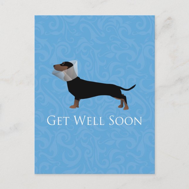 Dachshund Get Well Soon Design Postcard (Front)