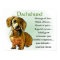 Dachshund Gifts Dachshund Posters Prints