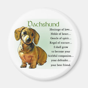 Dachshund Gifts Magnet