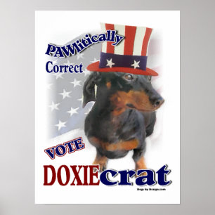 Dachshund Gifts Poster