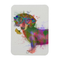 Dachshund & Glasses Rainbow Splash