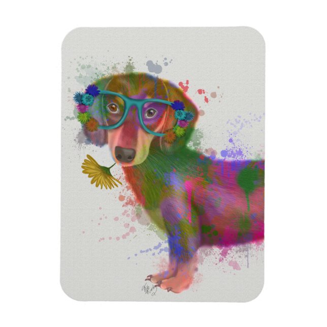 Dachshund & Glasses Rainbow Splash Magnet (Vertical)