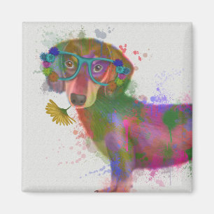 Dachshund & Glasses Rainbow Splash Magnet