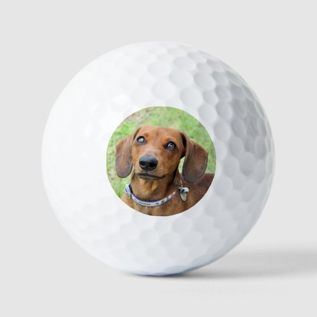 Dachshund Golf Balls (Front)