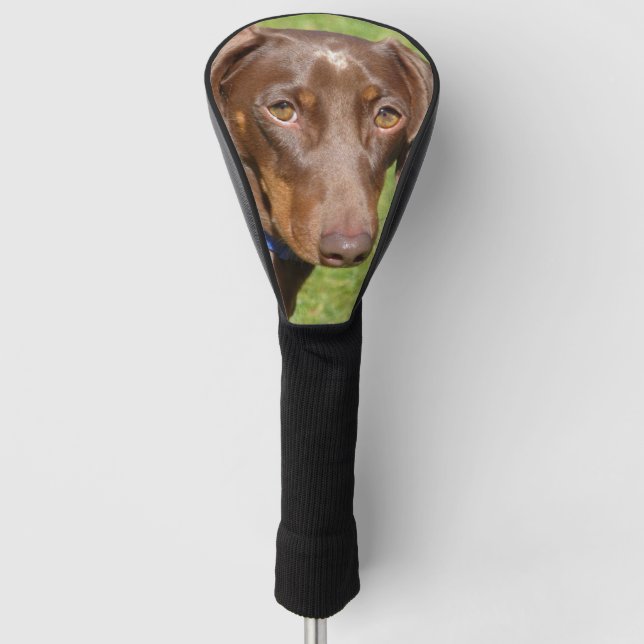 Dachshund Golf Head Cover (Front)