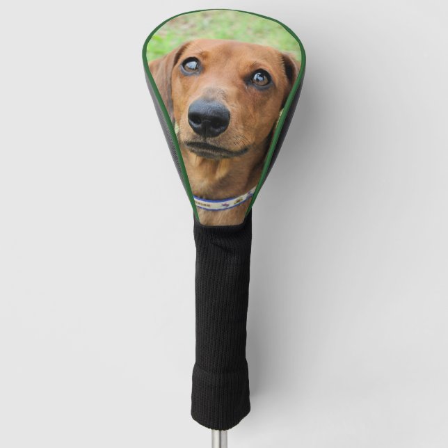 Dachshund Golf Head Cover (Front)