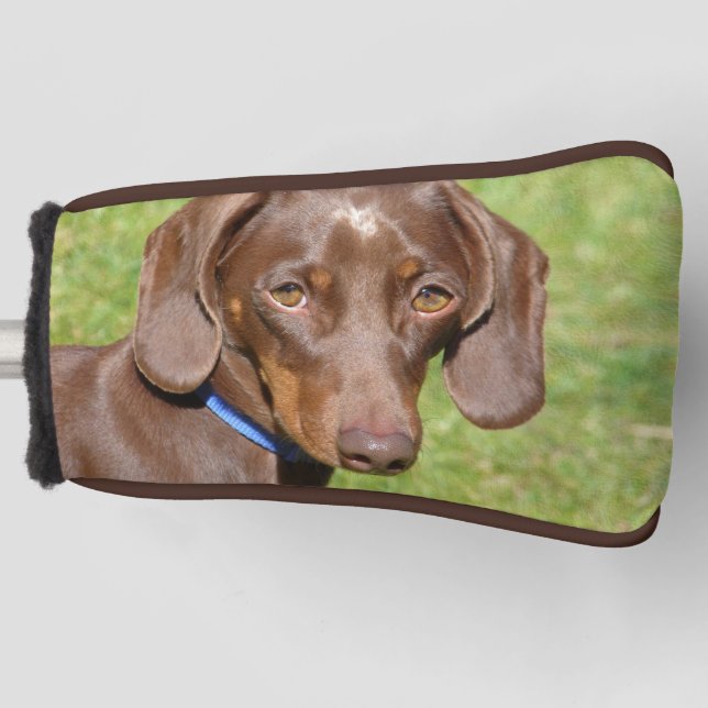 Dachshund Golf Head Cover (Front)