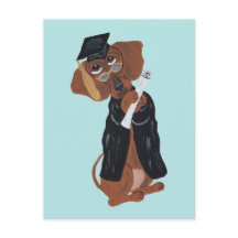 Dachshund Graduate