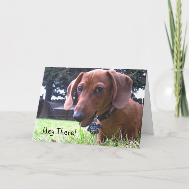 Dachshund Greetings Card (Front)