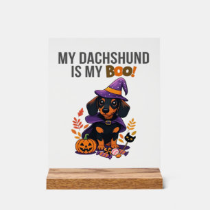 Dachshund Halloween Costume My Dachshund is My Bo Acrylic Sign