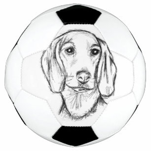 dachshund hand drawn sketch black white puppy dog  football