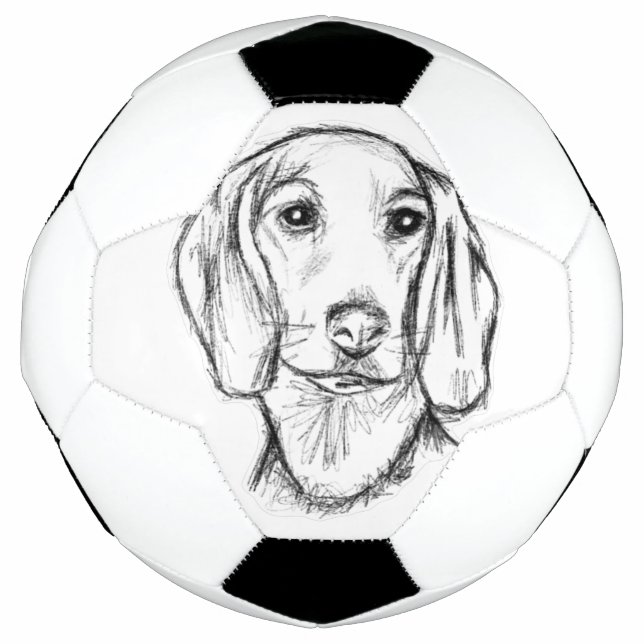 dachshund hand drawn sketch black white puppy dog  football (Front)