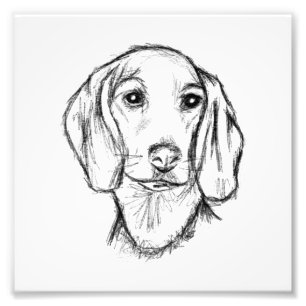 dachshund hand drawn sketch black white puppy dog photo print
