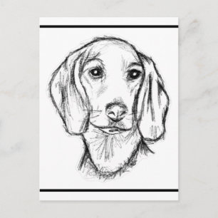dachshund hand drawn sketch black white puppy dog  postcard