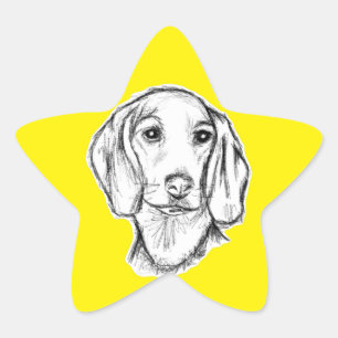 dachshund hand drawn sketch black white puppy dog  star sticker