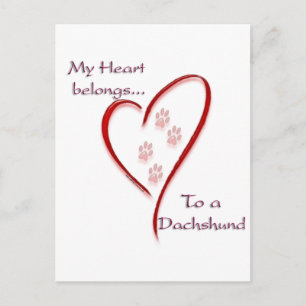 Dachshund Heart Belongs Postcard