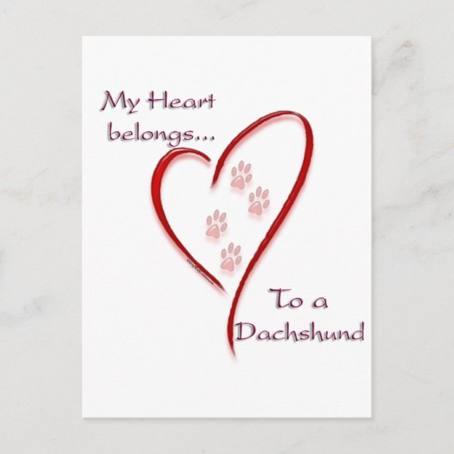 Dachshund Heart Belongs Postcard (Front)