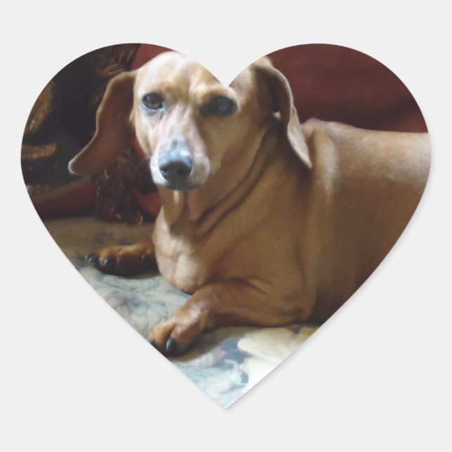 Dachshund Heart Sticker (Front)