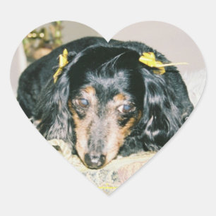 DACHSHUND HEART STICKERS - SHEET 20 - GIFTS