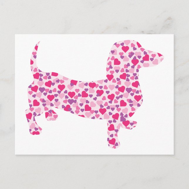 Dachshund Hearts Postcard (Front)
