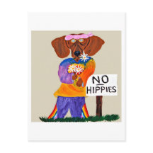 Dachshund Hippie at No Hippies Sign