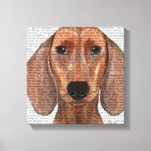 Dachshund Illustration Plain Canvas Print