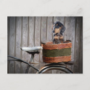 Dachshund In a Basket PostcardMagnet Postcard