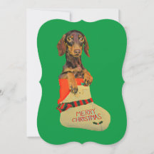Dachshund in a Christmas Stocking